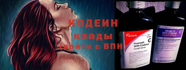 твердый Верхний Тагил
