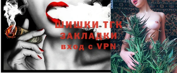 твердый Верхний Тагил